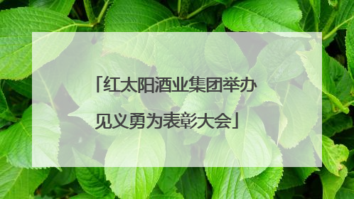 红太阳酒业集团举办见义勇为表彰大会